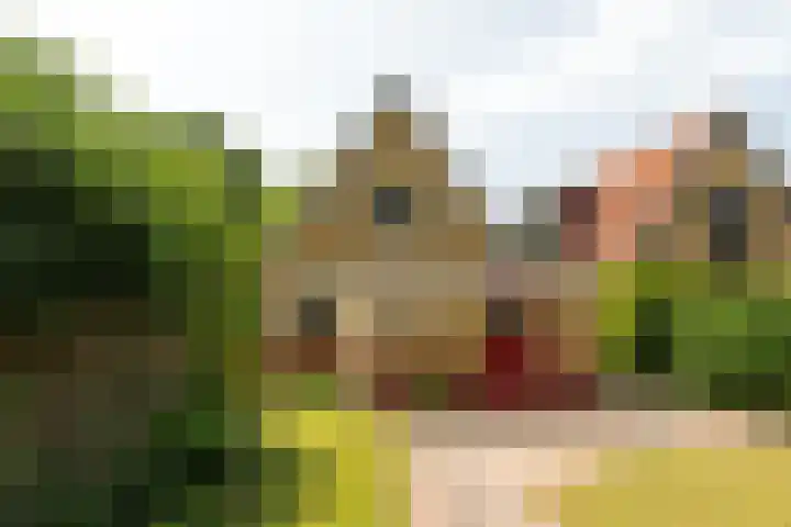 Folgeren 6 Drachten thumbnail 10
