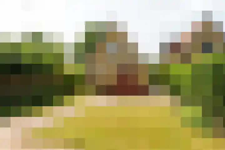 Folgeren 6 Drachten thumbnail 11