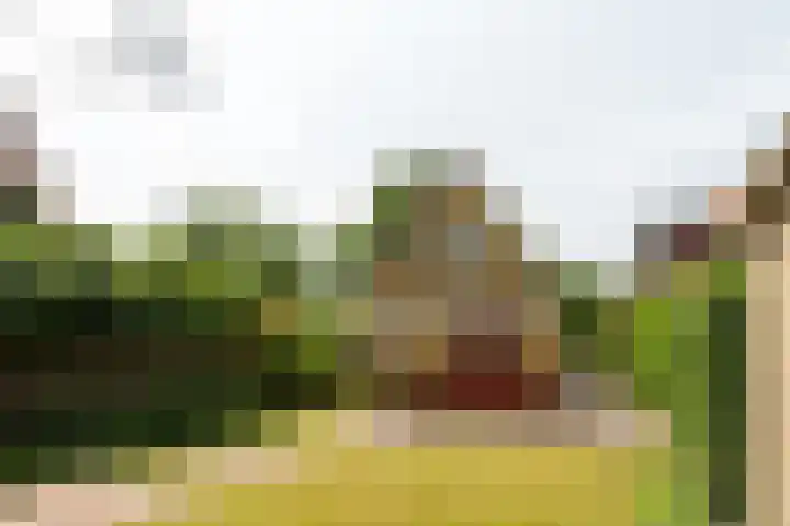 Folgeren 6 Drachten thumbnail 12