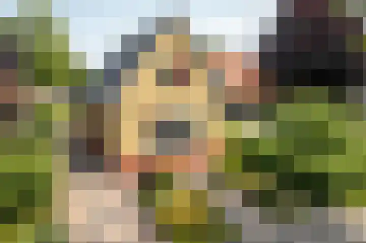 Folgeren 6 Drachten thumbnail 13