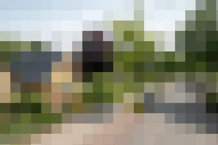 Folgeren 6 Drachten thumbnail 15