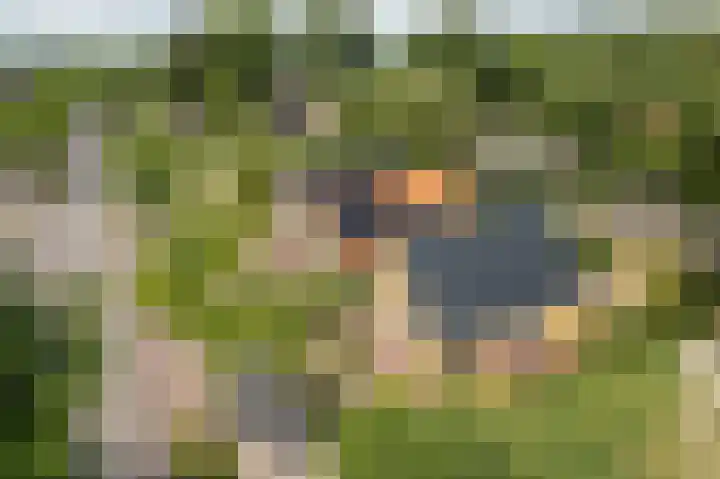 Folgeren 6 Drachten thumbnail 16