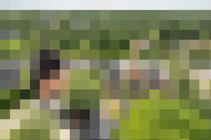 Folgeren 6 Drachten thumbnail 17