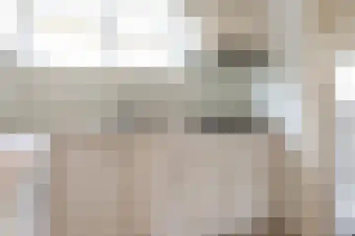Folgeren 6 Drachten thumbnail 24