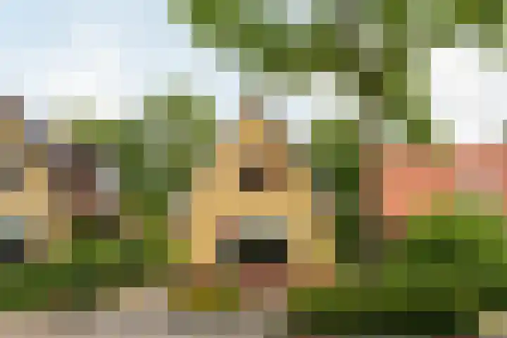 Folgeren 6 Drachten thumbnail 4