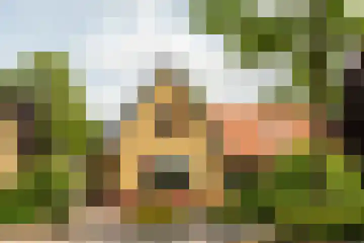 Folgeren 6 Drachten thumbnail 5