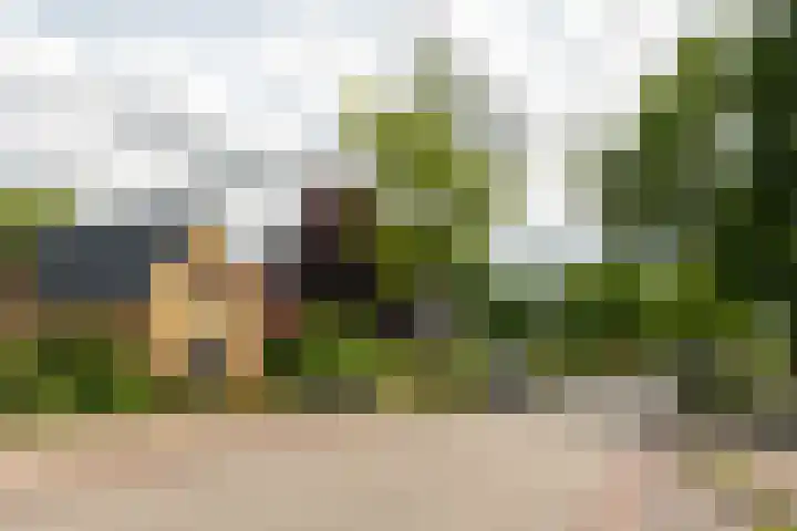 Folgeren 6 Drachten thumbnail 6