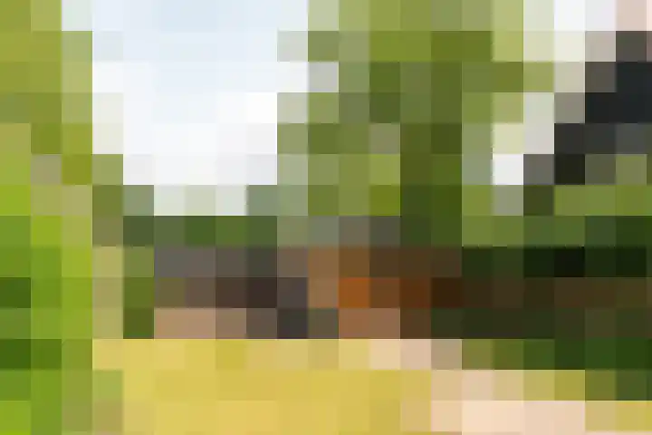 Folgeren 6 Drachten thumbnail 7