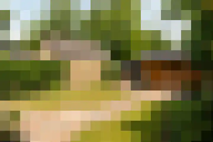 Folgeren 6 Drachten thumbnail 8