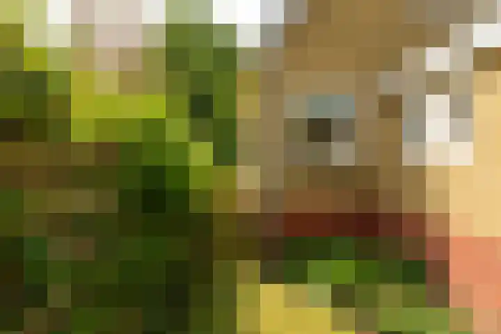 Folgeren 6 Drachten thumbnail 9