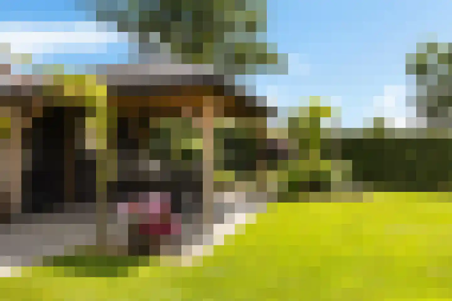 Folgerster Loane 80 Drachtstercompagnie thumbnail 43