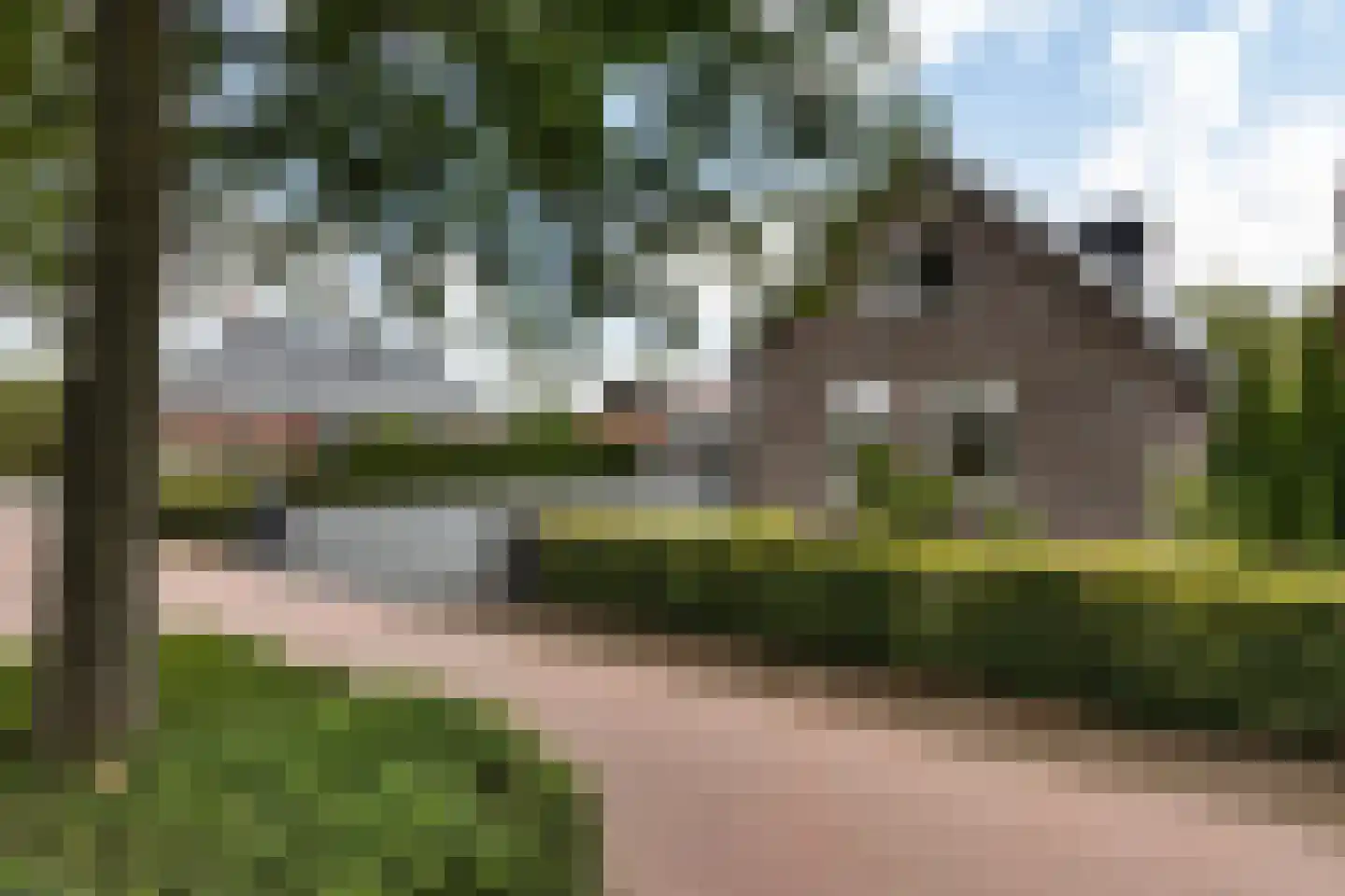 Folgerster Loane 80 Drachtstercompagnie thumbnail 63