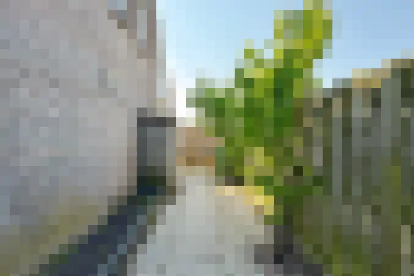 Folke Bernadottelaan 13 Willemstad thumbnail 59