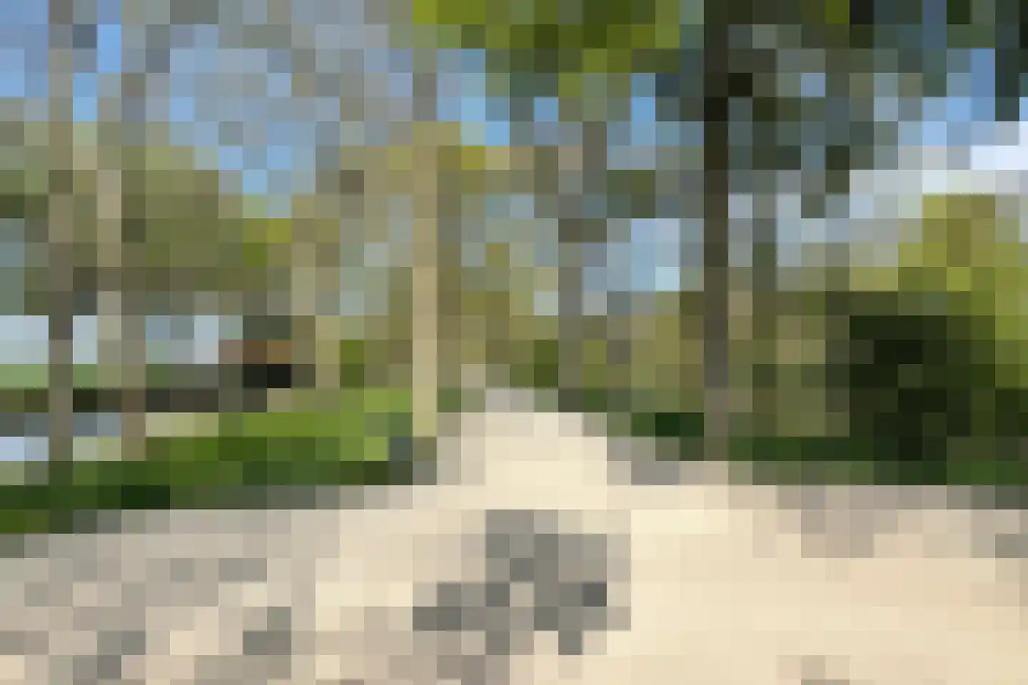 Folke Bernadottelaan 13 Willemstad thumbnail 65