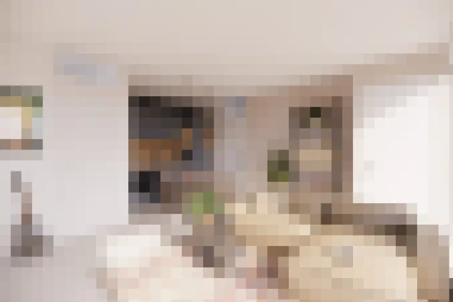 Folkert Elsingastraat 5 E Rotterdam thumbnail 5