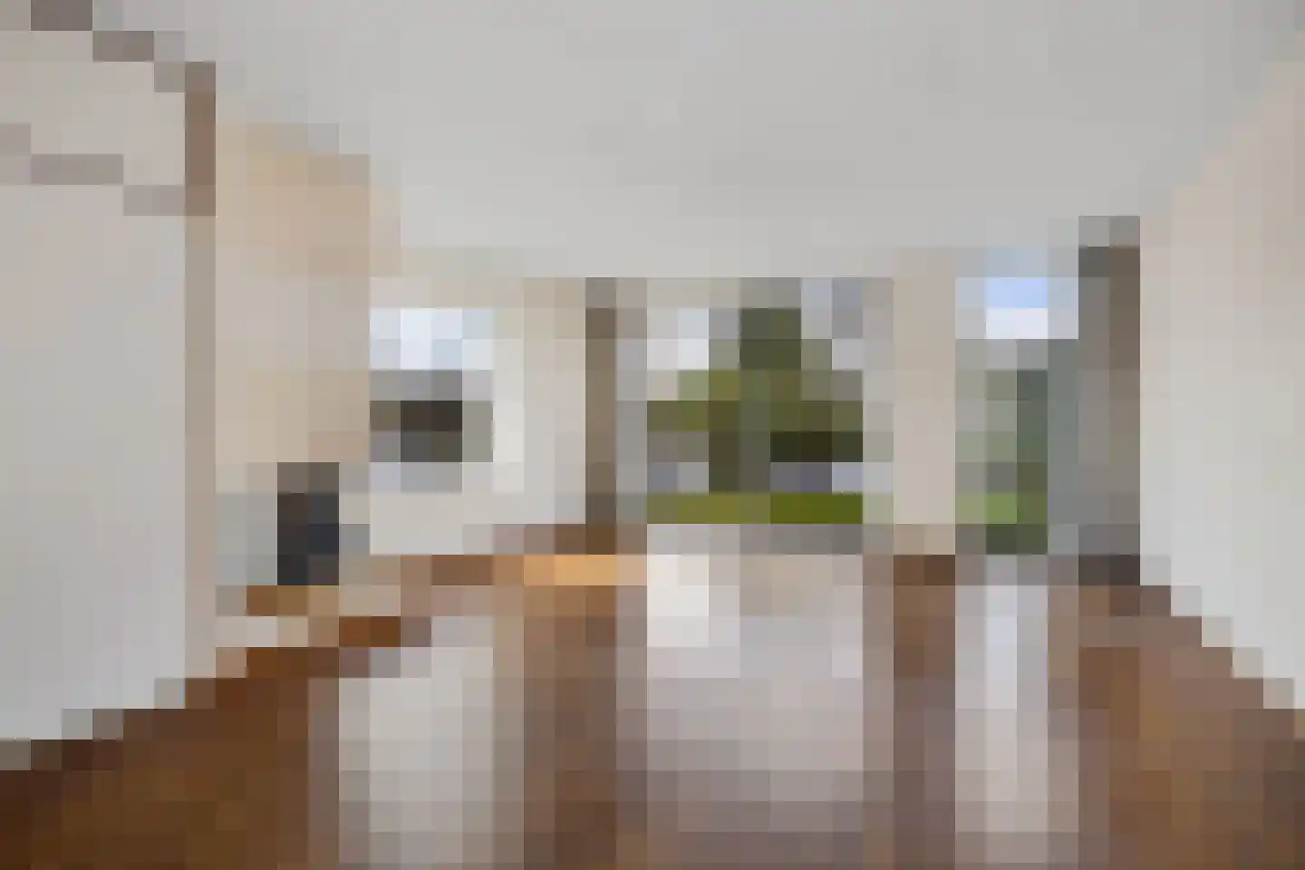 Folkert Kuipersstrjitte 51 Akkrum thumbnail 11