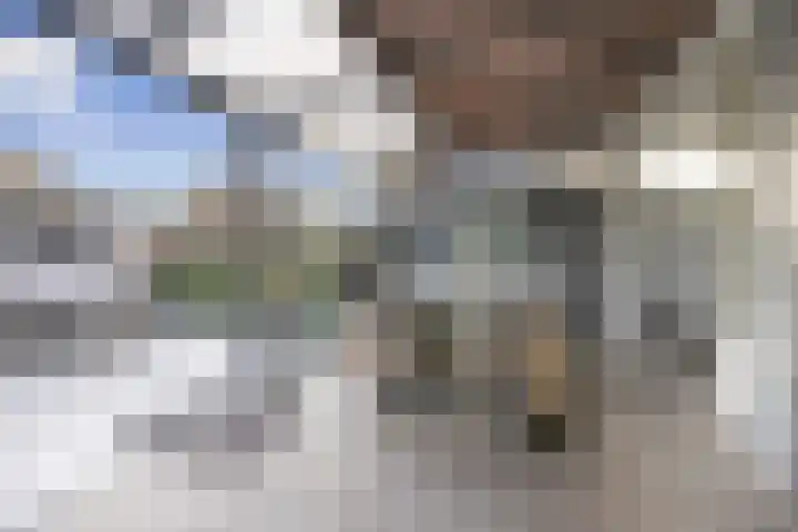 Folkert Lambertsstraat 7 Den Helder thumbnail 17