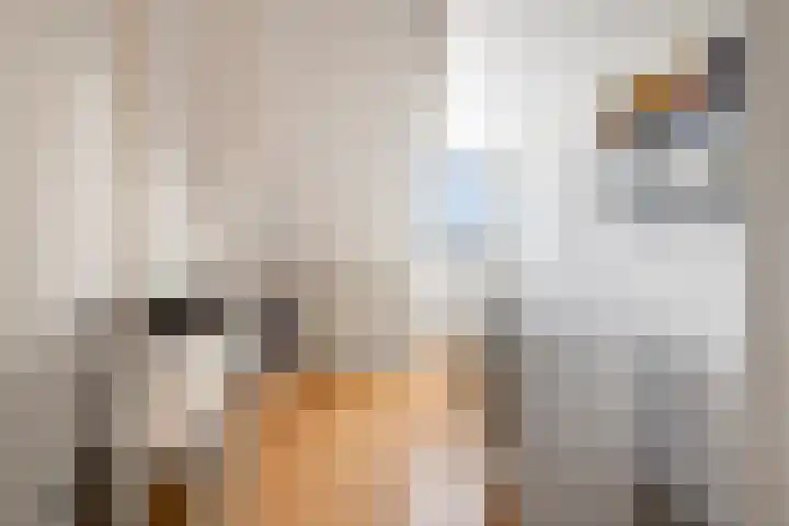 Folkert Lambertsstraat 7 Den Helder thumbnail 33