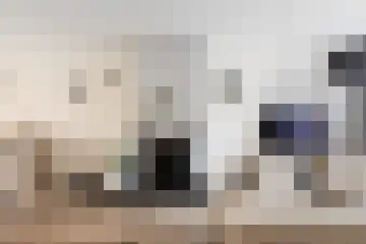 Folkert Lambertsstraat 7 Den Helder thumbnail 7