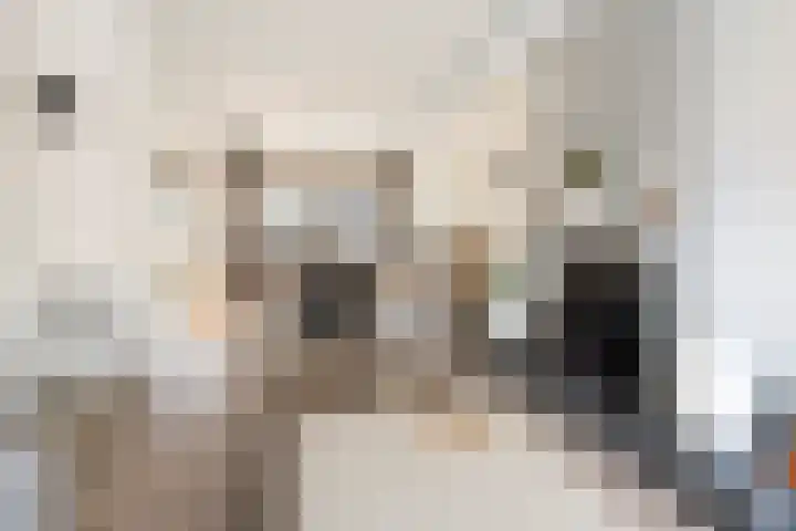 Folkert Lambertsstraat 7 Den Helder thumbnail 8
