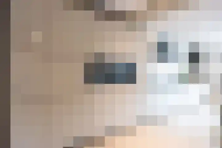 Folkert Poststraat 6 Midlum thumbnail 28