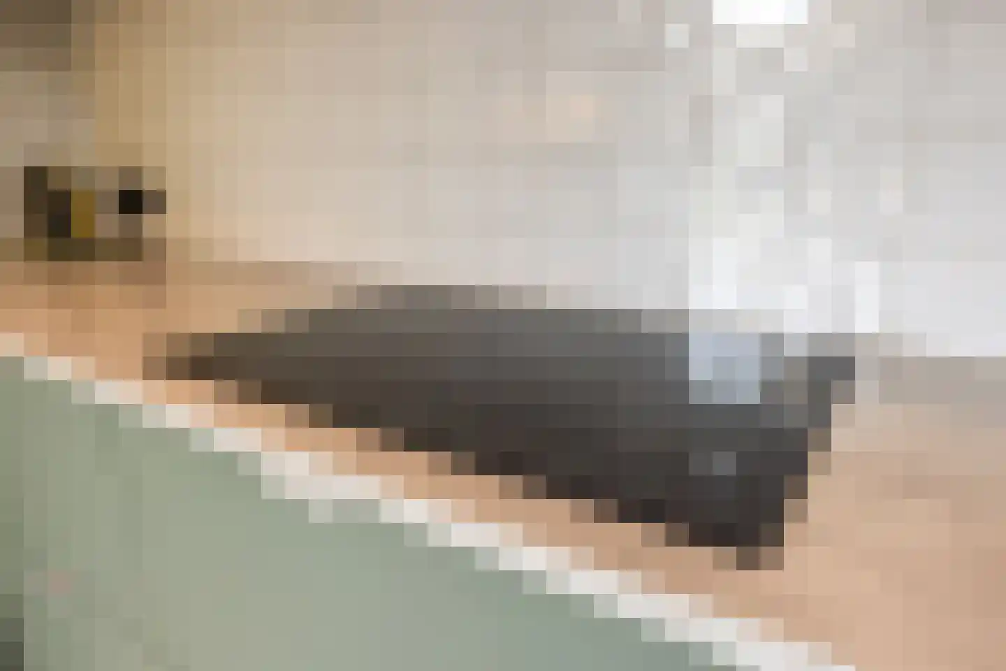 Folkertsgrêft 4 Woudsend thumbnail 20