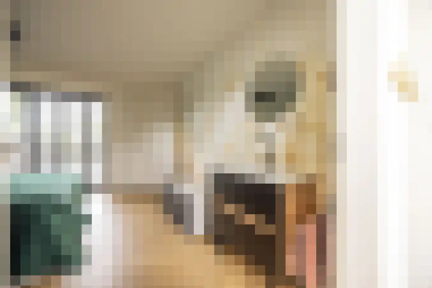Folkertsgrêft 4 Woudsend thumbnail 25