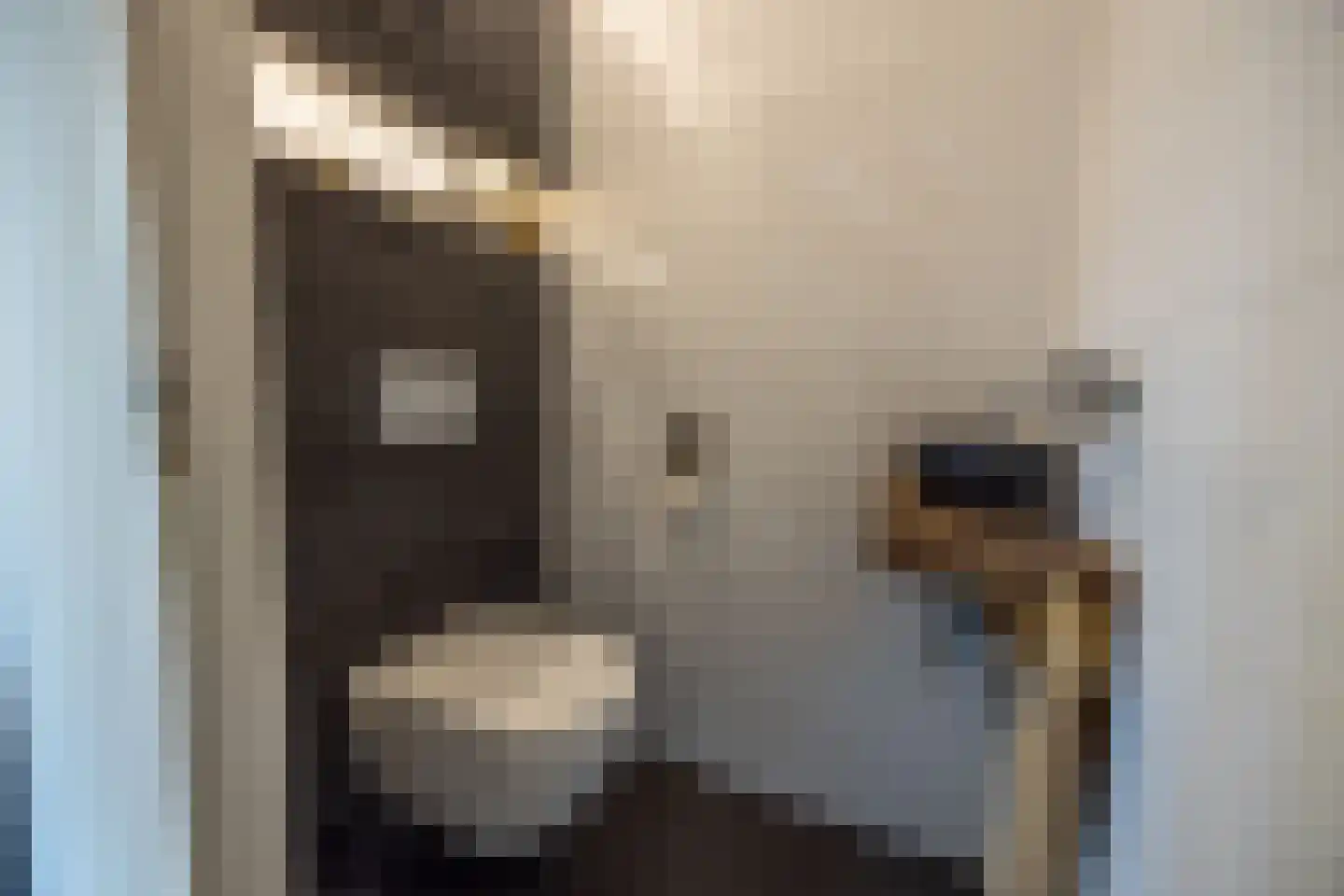 Folkertsgrêft 4 Woudsend thumbnail 27