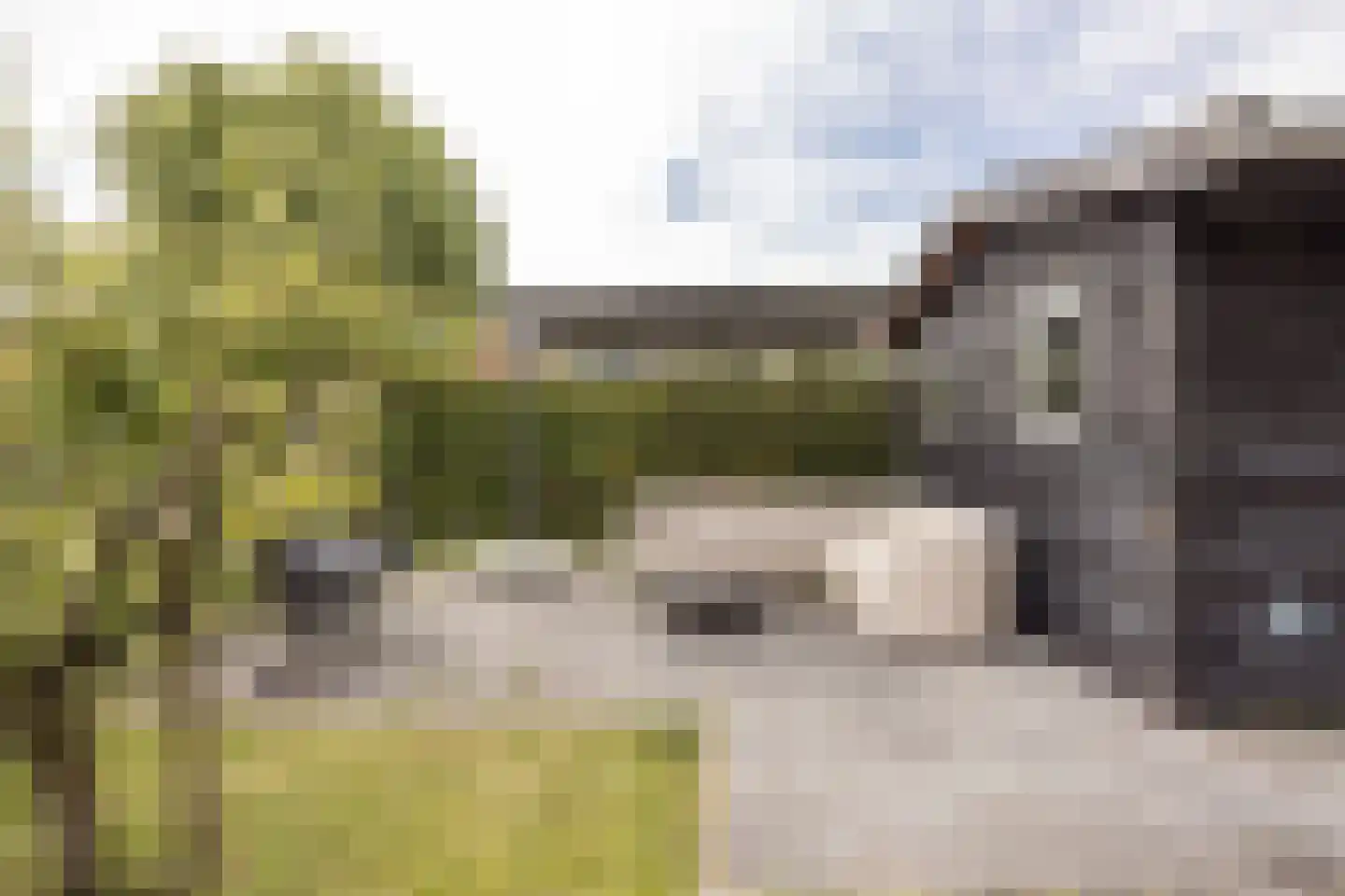 Folkertsgrêft 4 Woudsend thumbnail 46