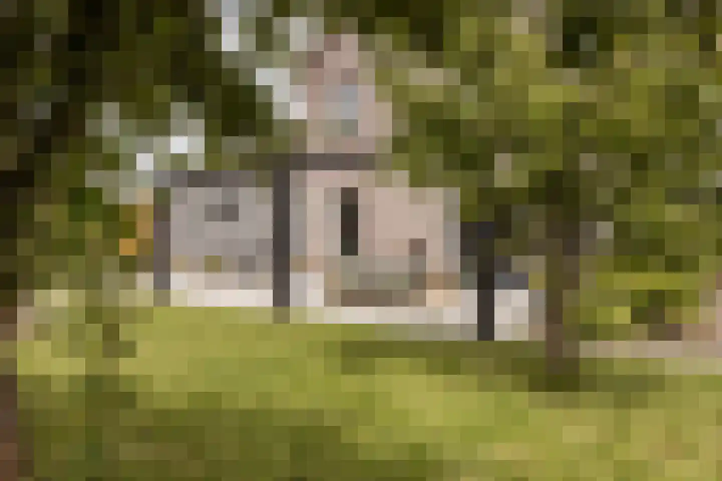 Folkertsgrêft 4 Woudsend thumbnail 49