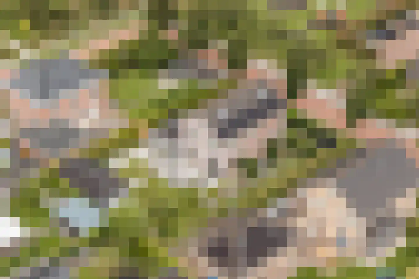 Folkertsgrêft 4 Woudsend thumbnail 5