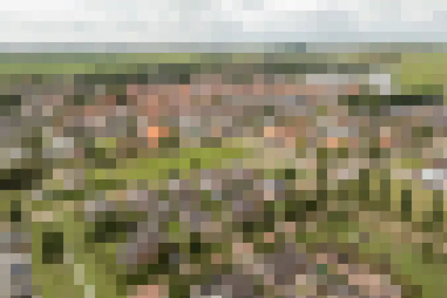 Folkertsgrêft 4 Woudsend thumbnail 50