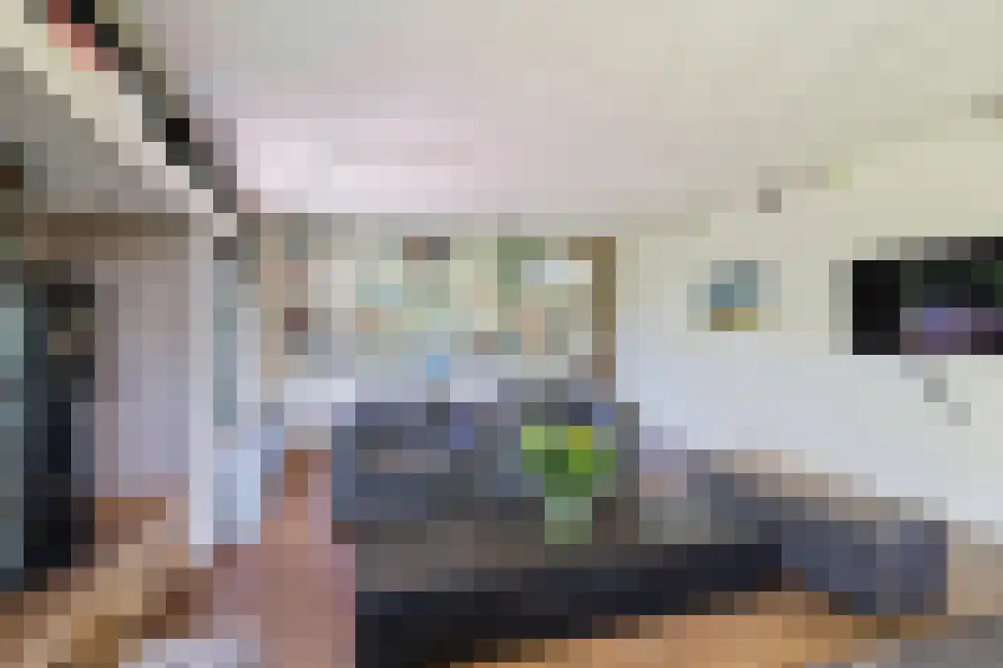 Folkertslân 33 Beetsterzwaag thumbnail 10