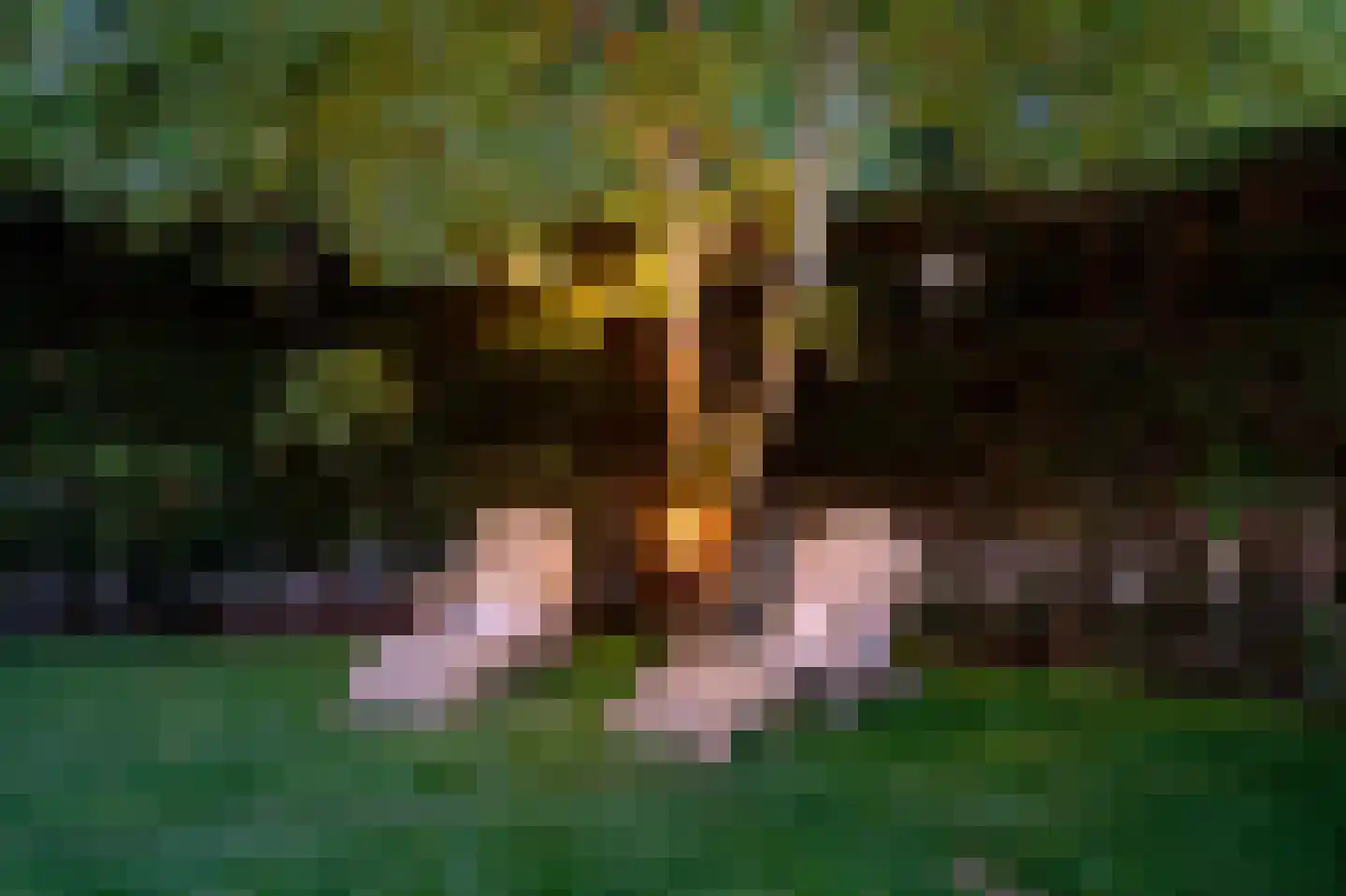 Folkertslân 33 Beetsterzwaag thumbnail 28