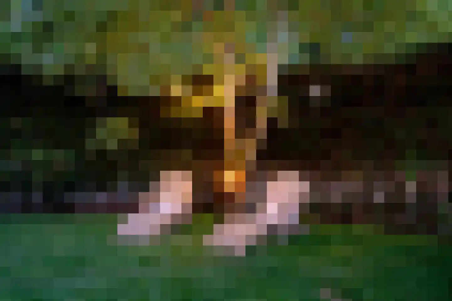 Folkertslân 33 Beetsterzwaag thumbnail 28