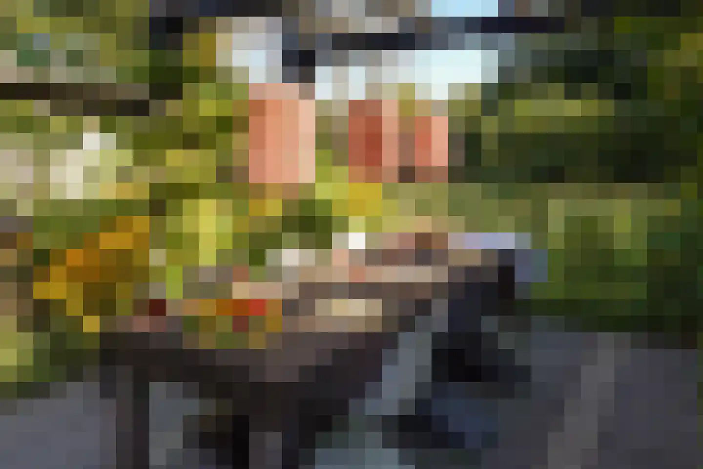 Folkertslân 33 Beetsterzwaag thumbnail 29