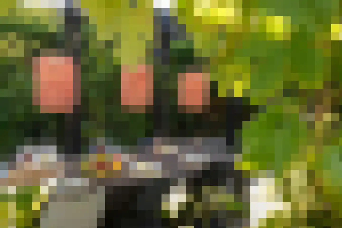 Folkertslân 33 Beetsterzwaag thumbnail 30