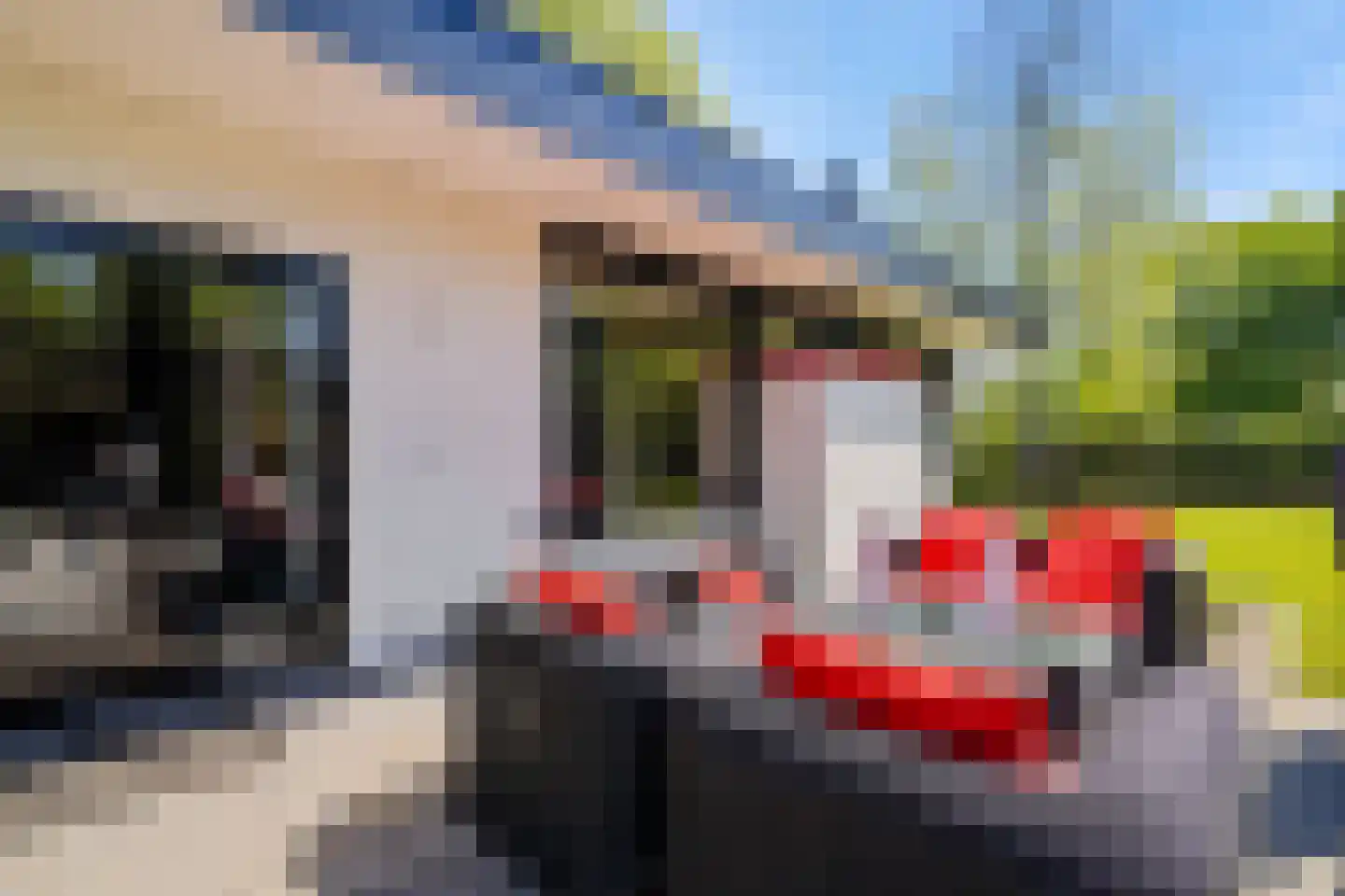 Folkertslân 33 Beetsterzwaag thumbnail 48