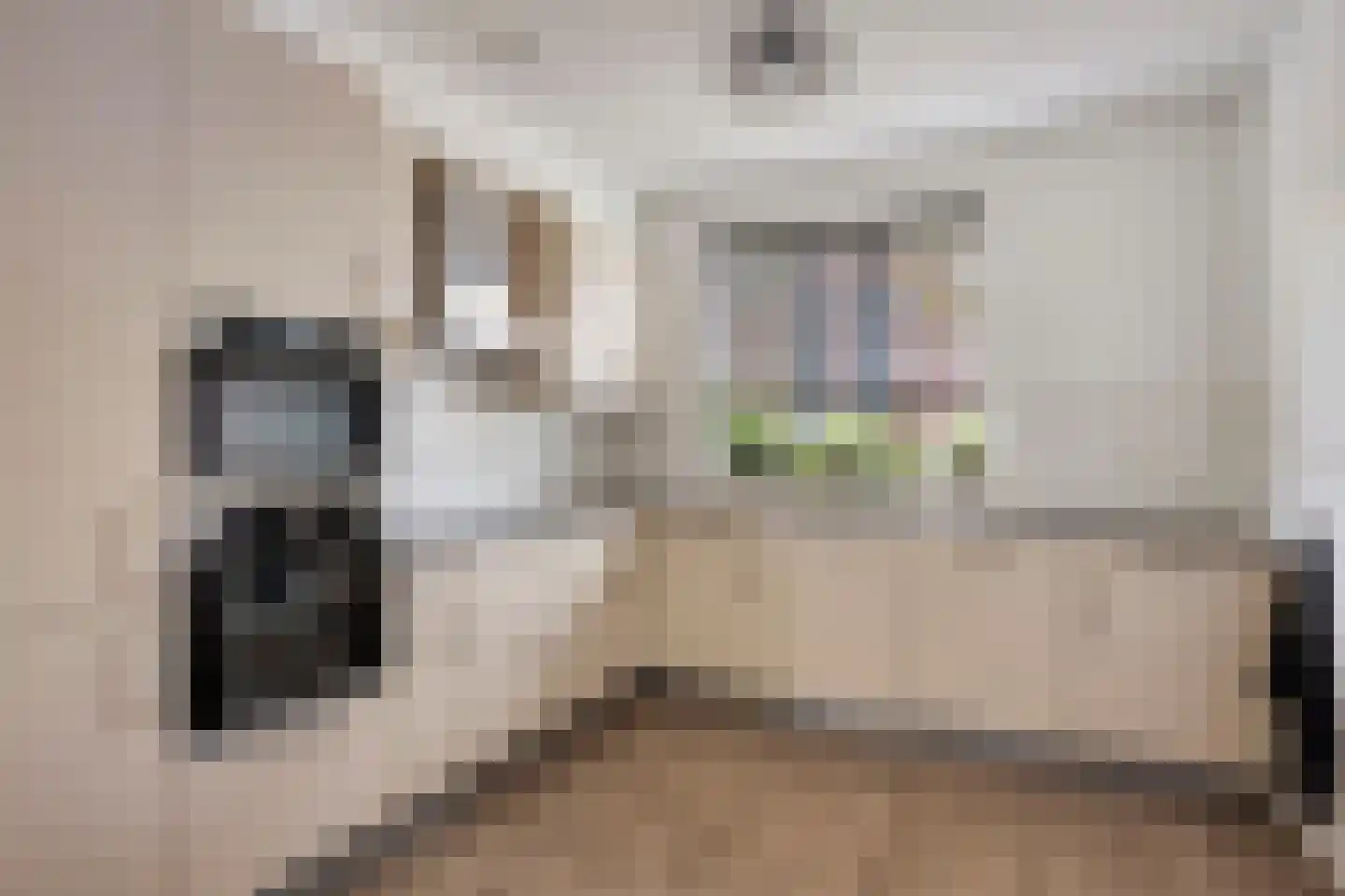 Folkertsstraat 7 Arkel thumbnail 20