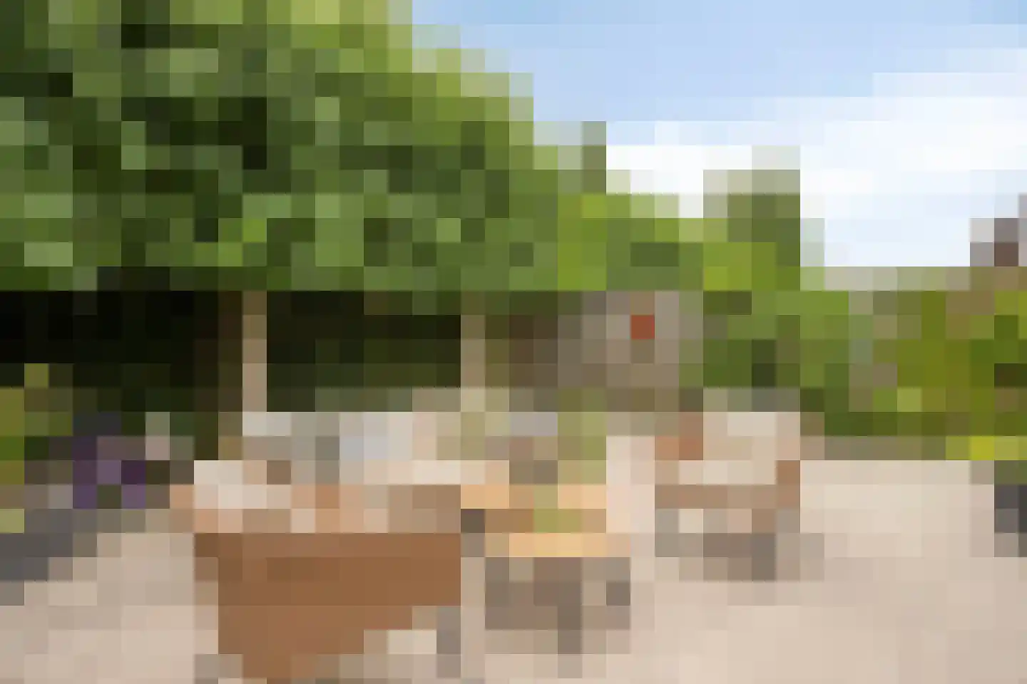 Folkertsstraat 7 Arkel thumbnail 43