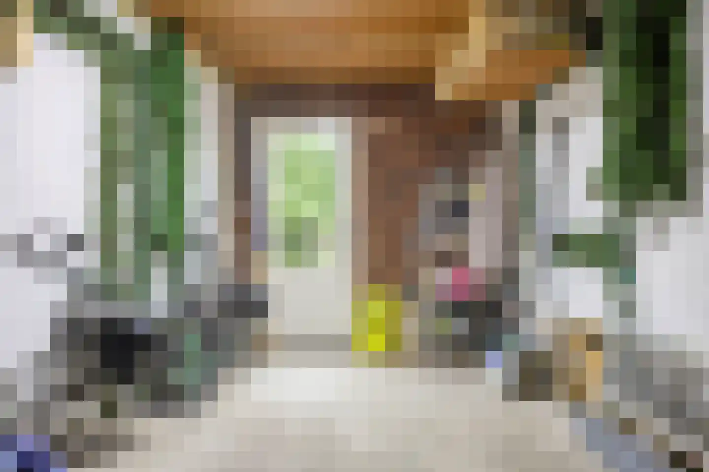 Folkertsstraat 7 Arkel thumbnail 46