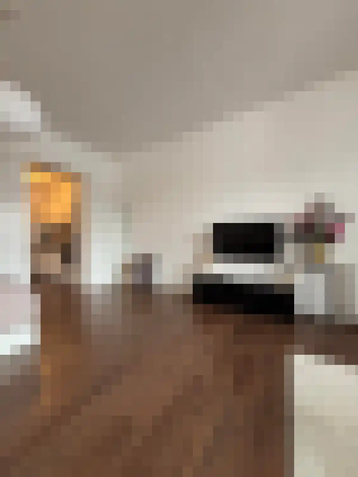 Folkingestraat 15 Groningen thumbnail 4