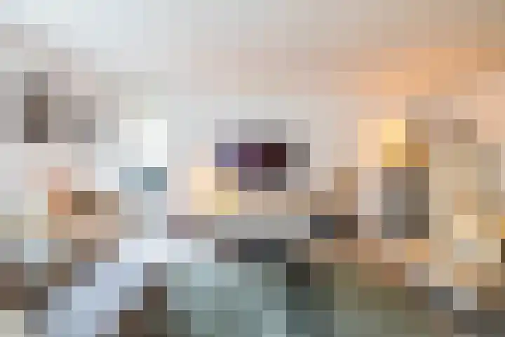 Fongersplaats 127 Groningen thumbnail 17