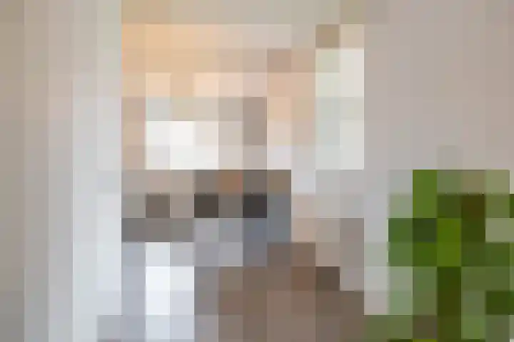 Fongersplaats 127 Groningen thumbnail 19