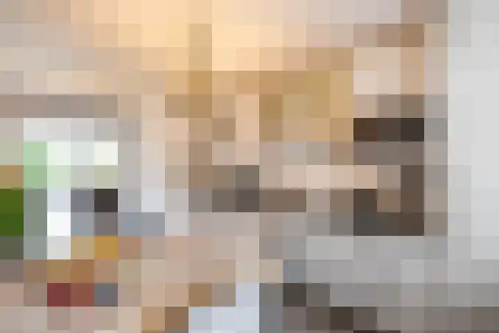 Fongersplaats 127 Groningen thumbnail 22