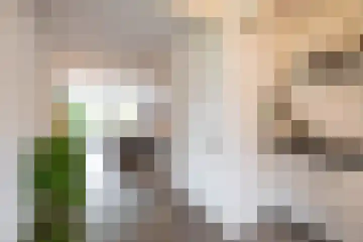 Fongersplaats 127 Groningen thumbnail 23