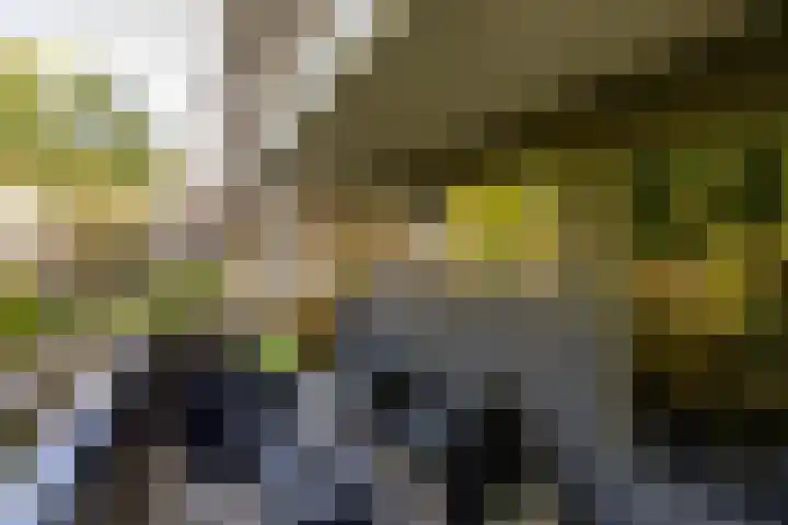 Fongersplaats 127 Groningen thumbnail 27