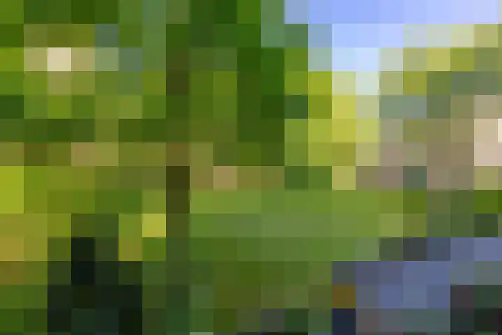 Fongersplaats 127 Groningen thumbnail 28