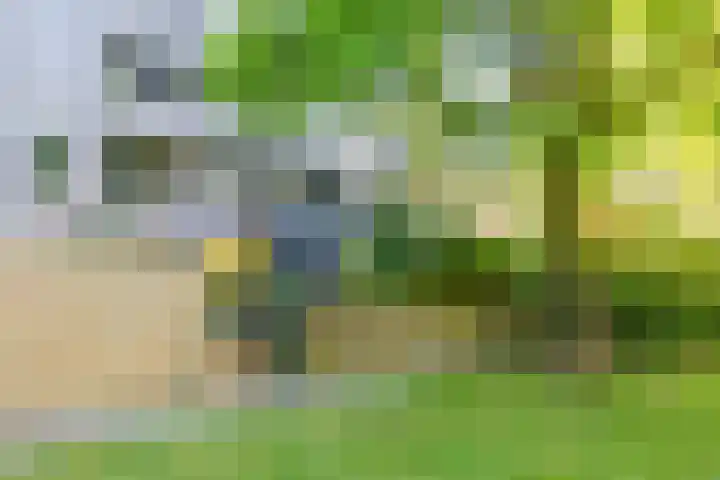 Fongersplaats 127 Groningen thumbnail 29