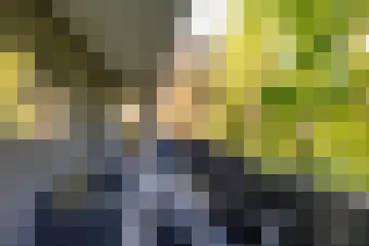 Fongersplaats 127 Groningen thumbnail 30